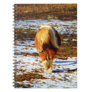 Carnet Cheval miniature Brown et crème dans la neige.