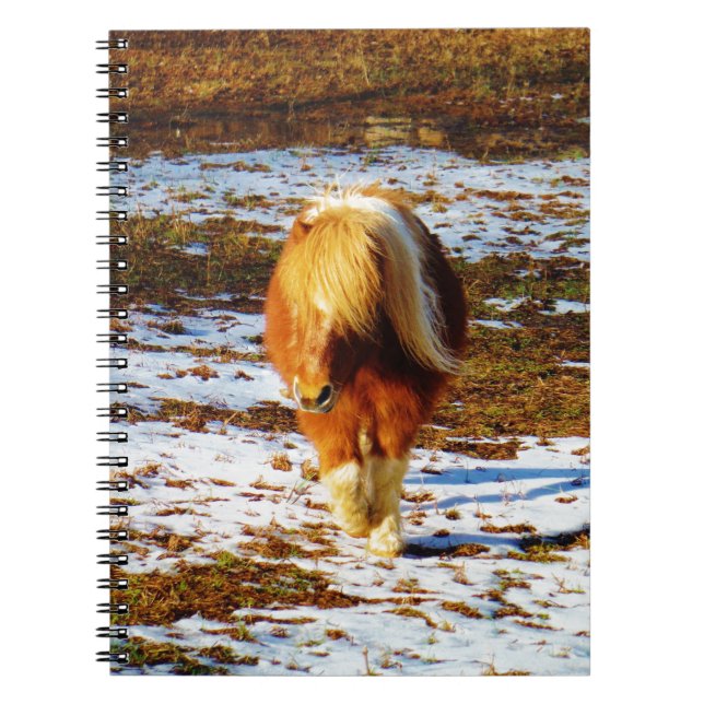 Carnet Cheval miniature Brown et crème dans la neige. (Devant)