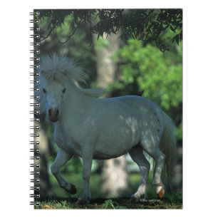 Carnet Cheval miniature se tenant dans les arbres