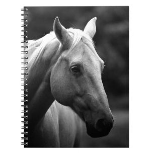 Carnet Cheval noir blanc