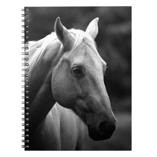Carnet Cheval noir blanc (Devant)