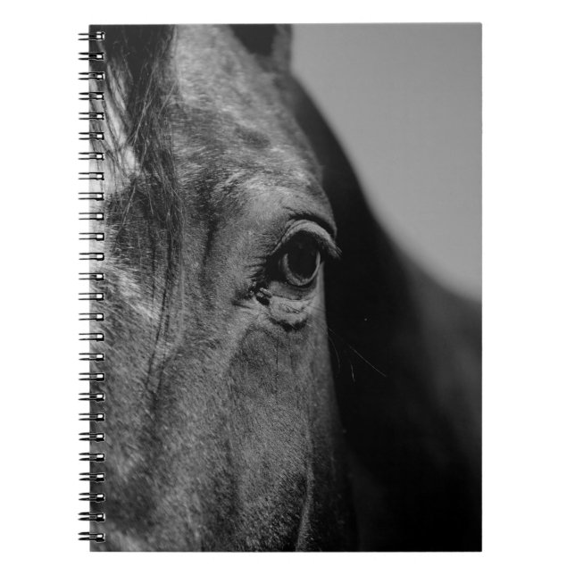 Carnet Cheval noir blanc oeil oeuvre d'art (Devant)