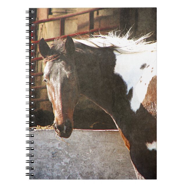 Carnet Cheval Pinto (Devant)