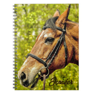 Carnet Cheval Portrait animal Nom personnalisé