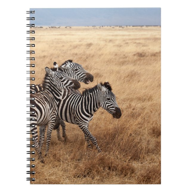CARNET CHEVAL RACE (Devant)