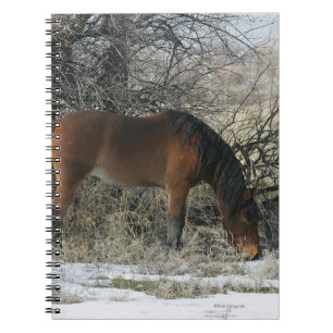 Carnet Cheval sauvage de mustang dans la neige 1