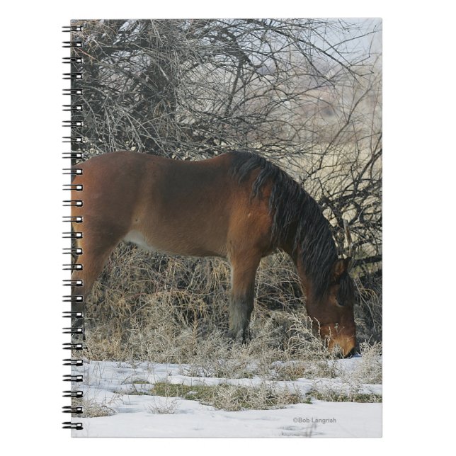 Carnet Cheval sauvage de mustang dans la neige 1 (Devant)
