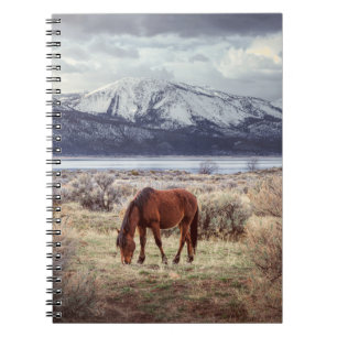 Carnet Cheval sauvage : Paysage hivernal du Nevada.