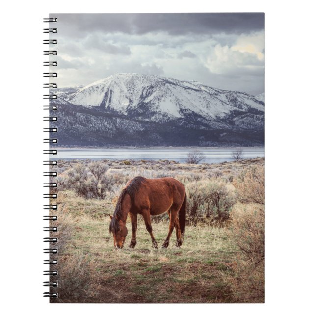 Carnet Cheval sauvage : Paysage hivernal du Nevada. (Devant)