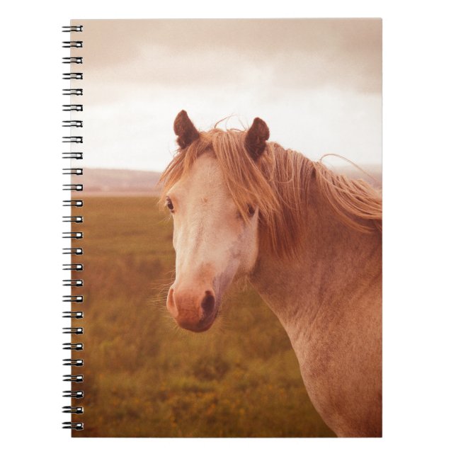 Carnet cheval sauvage vintage (Devant)