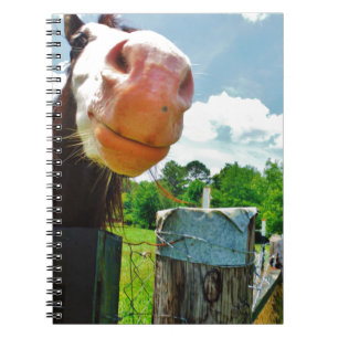 Carnet Cheval souriant
