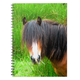 CARNET CHEVAUX