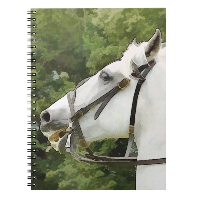 CARNET CHEVAUX (Devant)