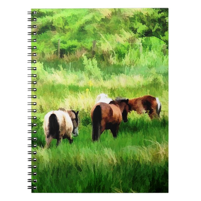 CARNET CHEVAUX (Devant)