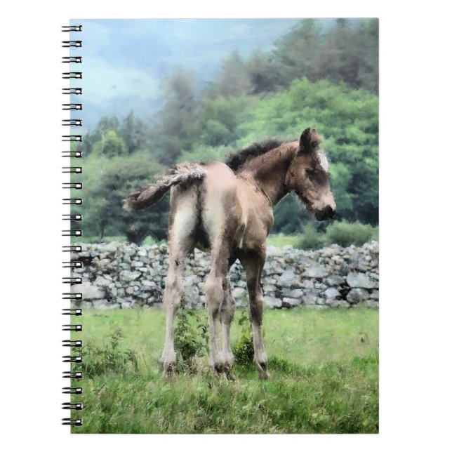 CARNET CHEVAUX (Devant)