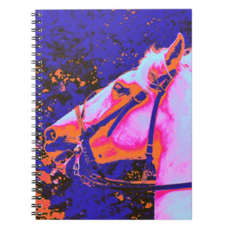 CARNET CHEVAUX