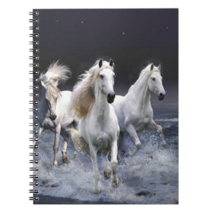 Carnet Chevaux à lancer l'oreiller
