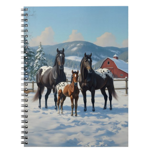 Carnet Chevaux Appaloosa noirs sur une ferme en hiver (Devant)