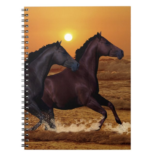 Carnet Chevaux courant au coucher du soleil sur l'océan (Devant)