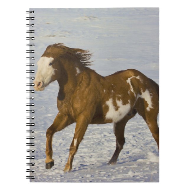Carnet Chevaux courant dans la neige (Devant)