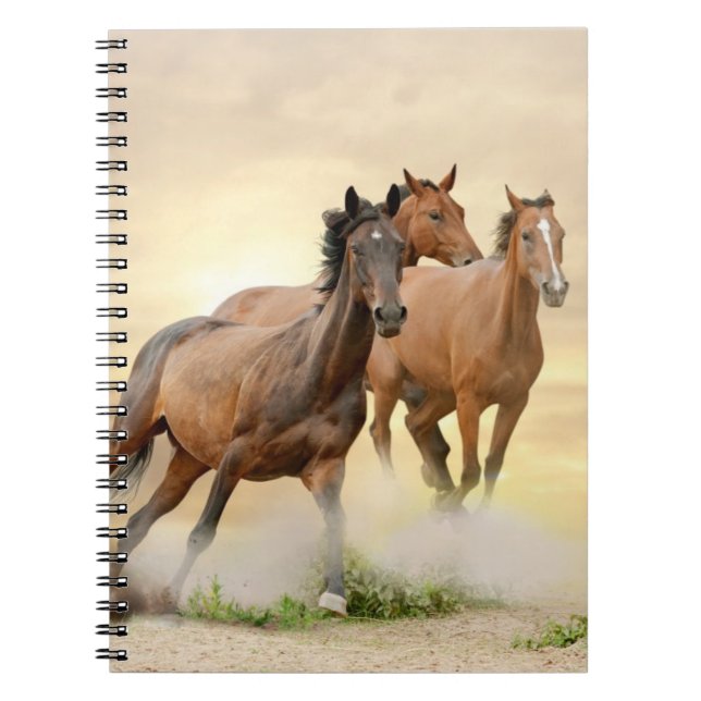 Carnet Chevaux dans le coucher du soleil (Devant)