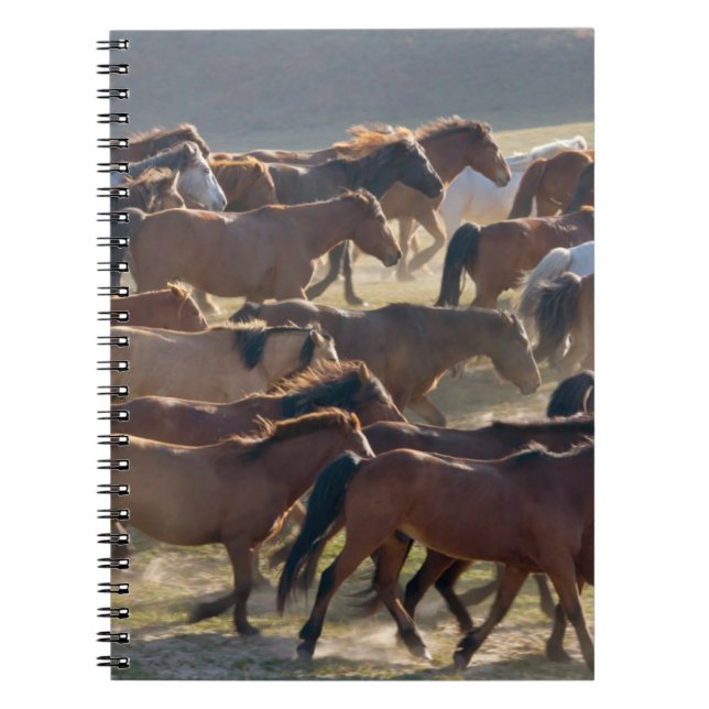 Carnet Chevaux dans le ranch, Mongolie intérieure, Chine (Devant)