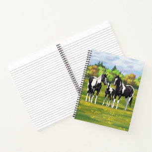 Carnet Chevaux De Peinture De Pinto Noir En Pâturage Été