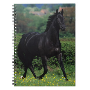 Carnet Chevaux de pur sang dans le domaine de fleur