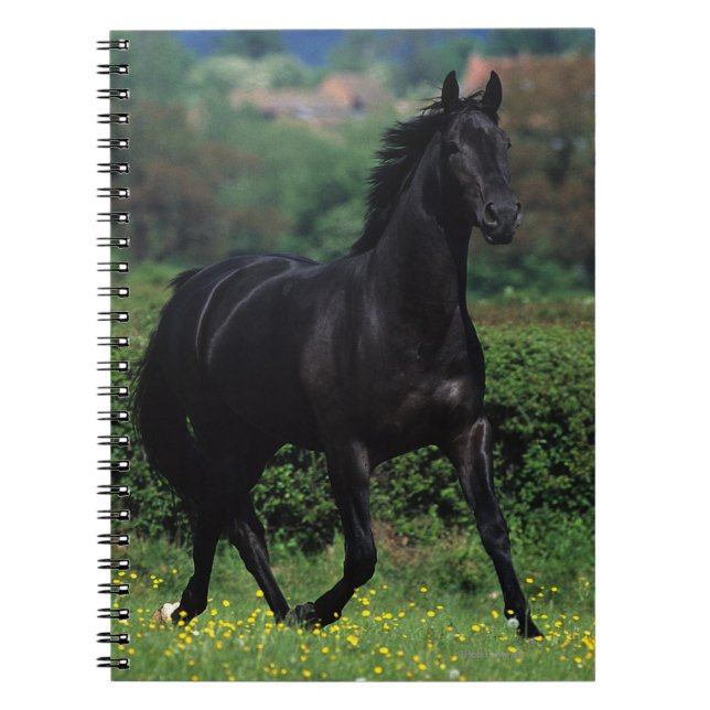 Carnet Chevaux de pur sang dans le domaine de fleur (Devant)