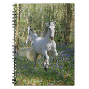 Carnet Chevaux d'imaginaire : Bois de jacinthe des bois
