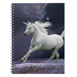 Carnet Chevaux d'imaginaire : Licorne