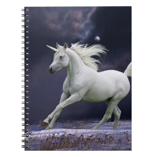 Carnet Chevaux d'imaginaire : Licorne (Devant)