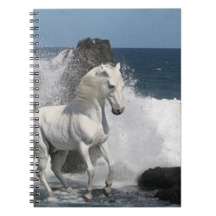 Carnet Chevaux d'imaginaire : Mers du sud