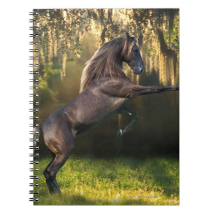 Carnet Chevaux d'imaginaire : Prince de guerrier