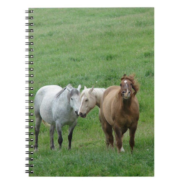 Carnet Chevaux drôle (Devant)