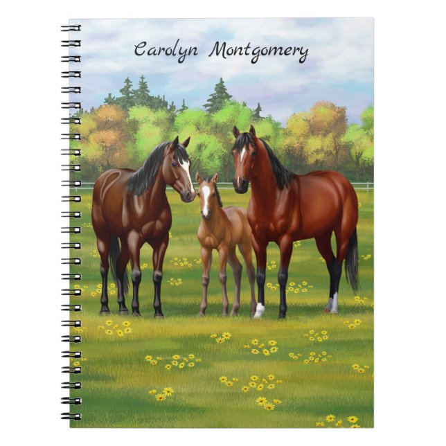 Carnet Chevaux Du Quartier De La Baie Brown Dans Les Pâtu (Devant)