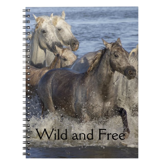 Carnet Chevaux galopant dans l'eau (Devant)