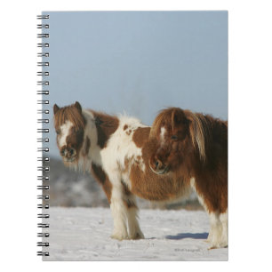 Carnet Chevaux miniatures se tenant dans la neige