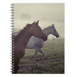 Carnet Chevaux sauvages