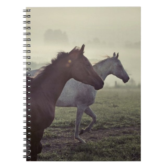 Carnet Chevaux sauvages (Devant)