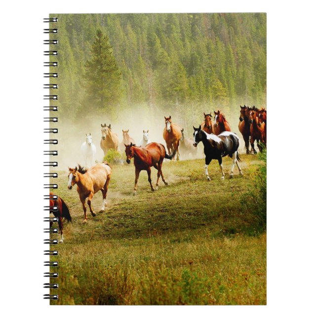 Carnet Chevaux sauvages (Devant)