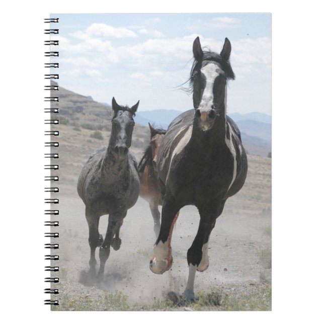 Carnet Chevaux sauvages de l'Utah courant (Devant)