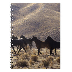 Carnet Chevaux sauvages de mustang dans le désert 1