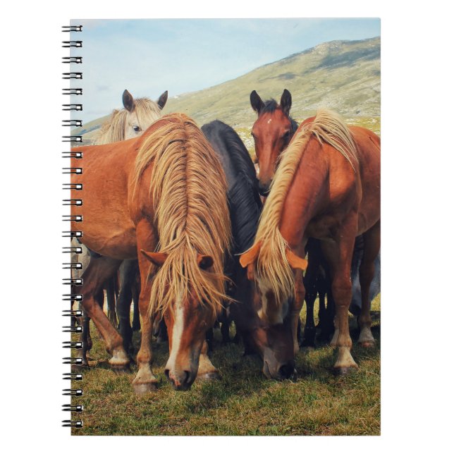 Carnet Chevaux sauvages Vie Nature Scène (Devant)