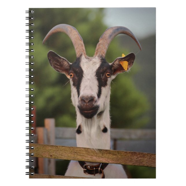Carnet Chèvre avec cornes debout contre clôture (Devant)