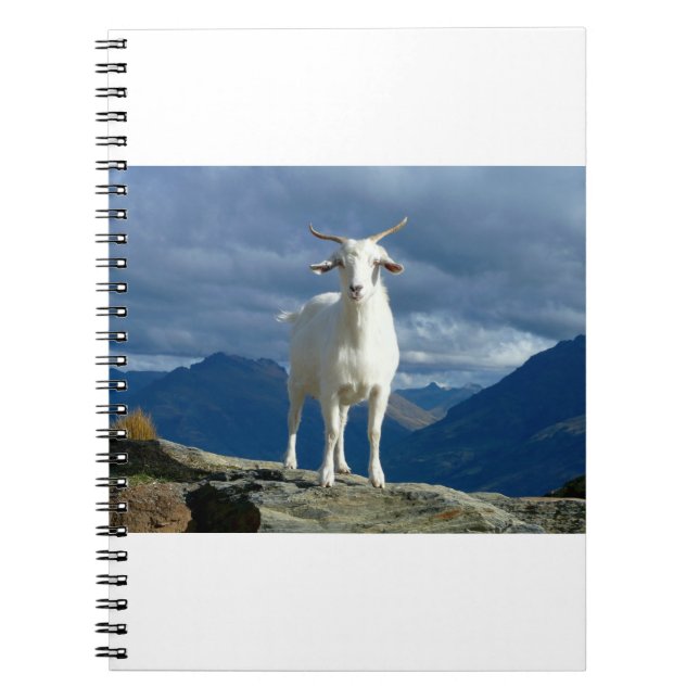 Carnet Chèvres, chèvres et chèvres (93) (Devant)