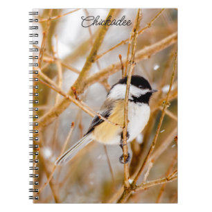 Carnet Chickadee au plafond noir - Photo originale