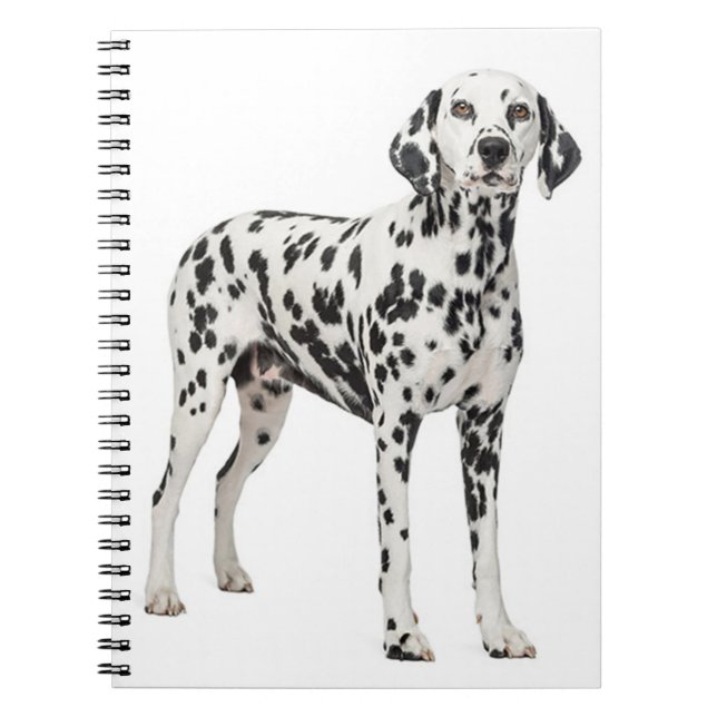 Carnet Chien à chiots amoureux de Dalmatie - Chien à pomp (Devant)