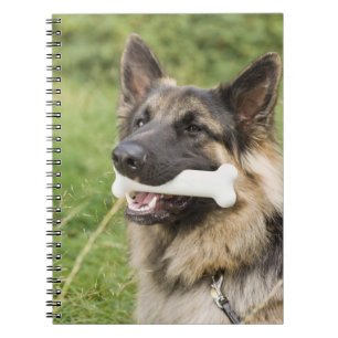 Carnet Chien avec l'os