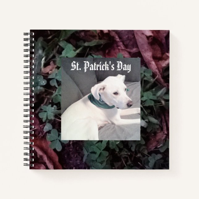 Carnet Chien blanc mignon portant des Shamrocks écailles  (Devant)